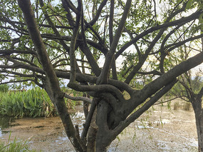 ��������