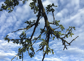 ����µ��޻�����