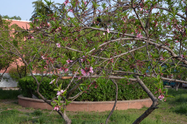 У԰�е��һ�