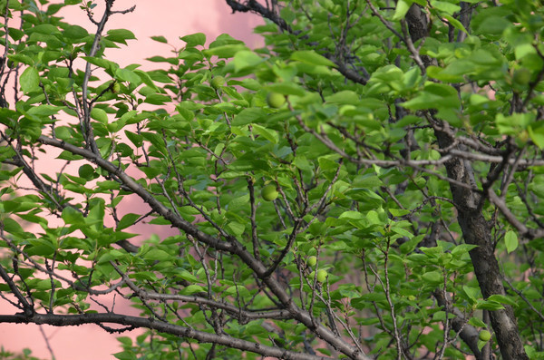 �����ϵĹ�ʵ