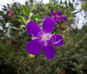 Ұĵ����Ӱͼ