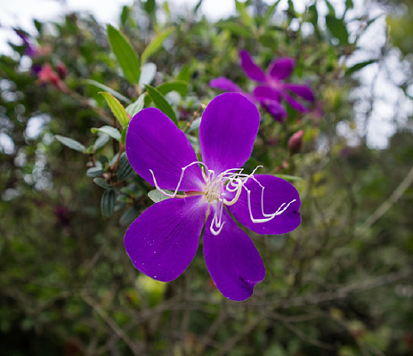 Ұĵ����Ӱͼ