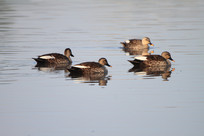 һȺ��ʳ��ҰѼ