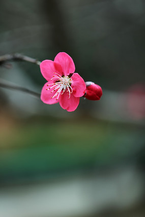 ��������һ�