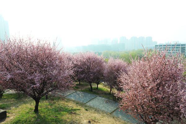 �������ӣ��