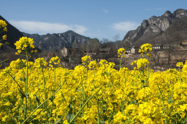 ̫��ɽ���Ĵ���