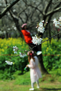 ӣ������