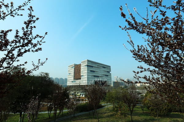 Զ��������ͼ���