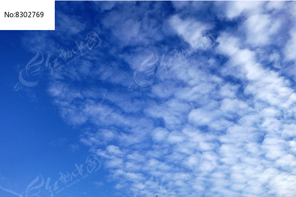 ���ƶ��ͼƬ