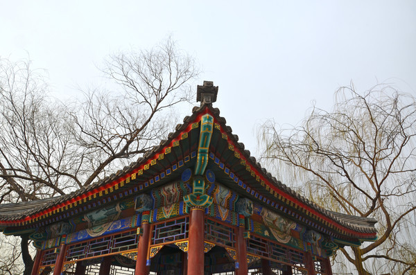 ��ʽ����