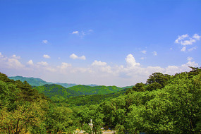 ǧɽľ����ɽ��ɽ�������