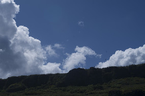 ɽ�º������� 