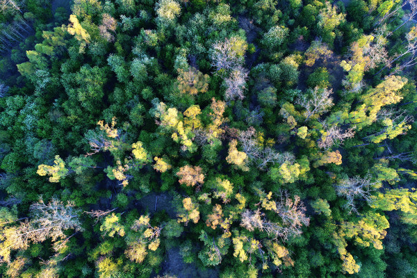 ���ֺ��� 