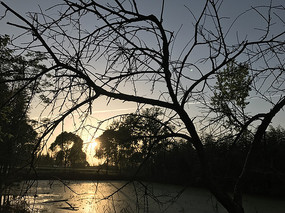 �ɻ�������һ���ֽ���