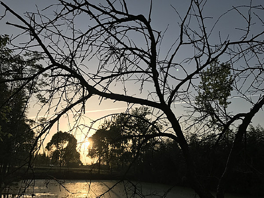 �ɻ�������һ���ֽ���