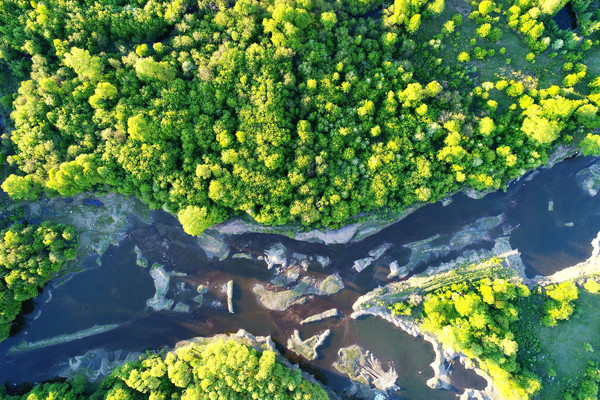 ��ɫ���ֺͺ��� 