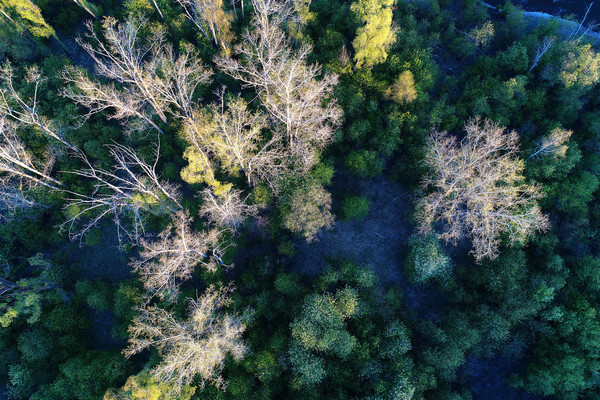 ���ַ羰���� 