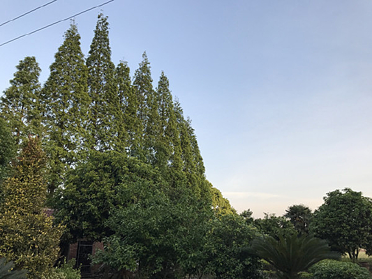 ���ż�һ��