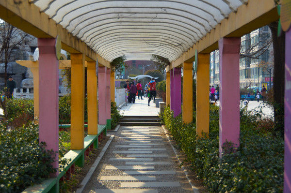 �㳡�ϵ�����