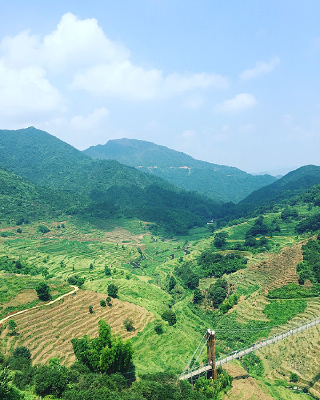 ������԰