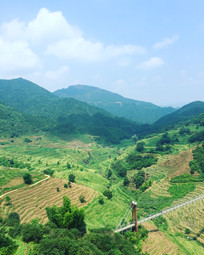 ������԰