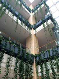 �����̻�