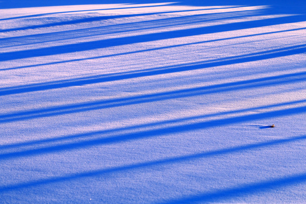 ѩ�����ֹ�Ӱ�羰