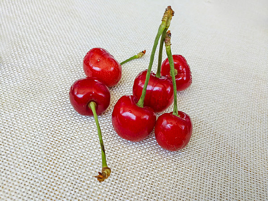 ӣ������