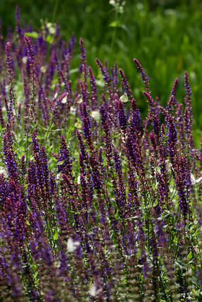 ���컨�ܷ羰