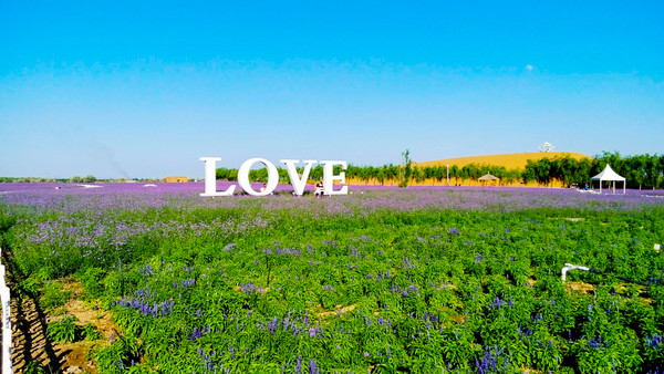 ������ɳ��-��ɳ����