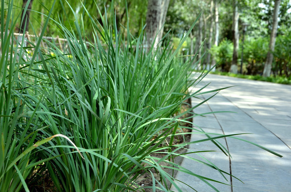 ·�ߵ�������