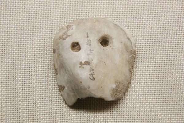 ��ʯ��ʱ��˫�װ���