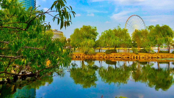 ������Ӱ