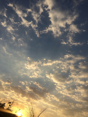 Ϧ������