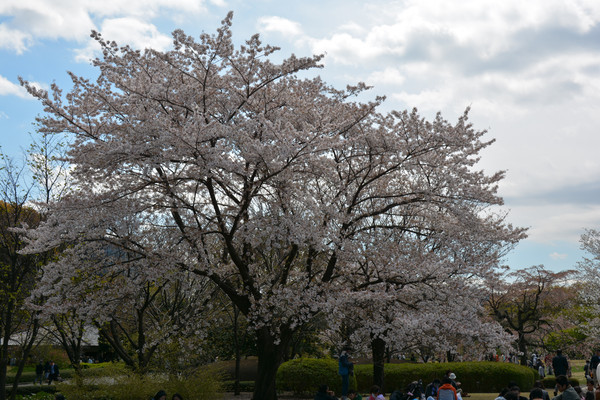 Զ��ӣ����