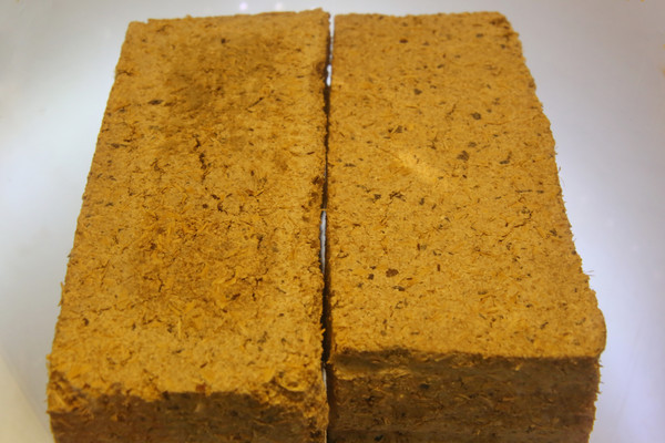 ����ͷ������