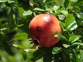 ʯ�����ϵĹ�ʵ