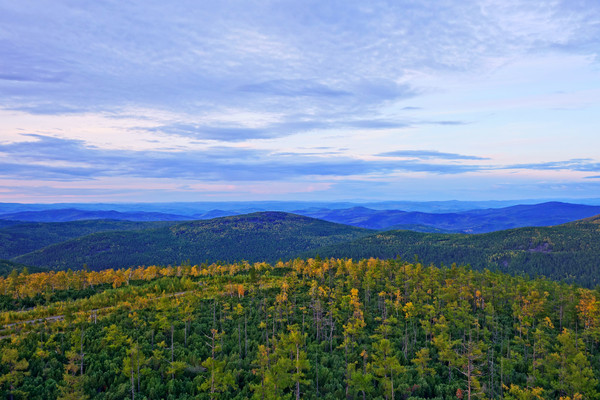 ����̩����