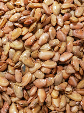 ������ͼƬ