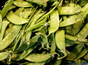 ������ͼƬ