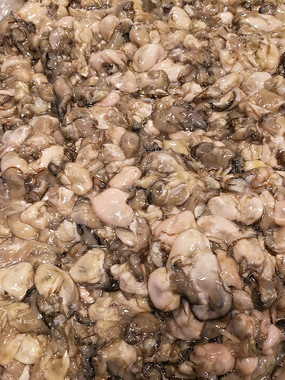 ����ĵ��(�����ﹷ)