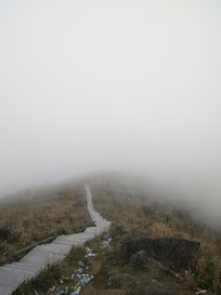 ����С��