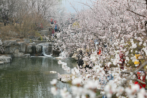 ˮ����ʢ����ӣ������