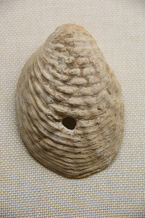 ��ʯ��ʱ�����װ���