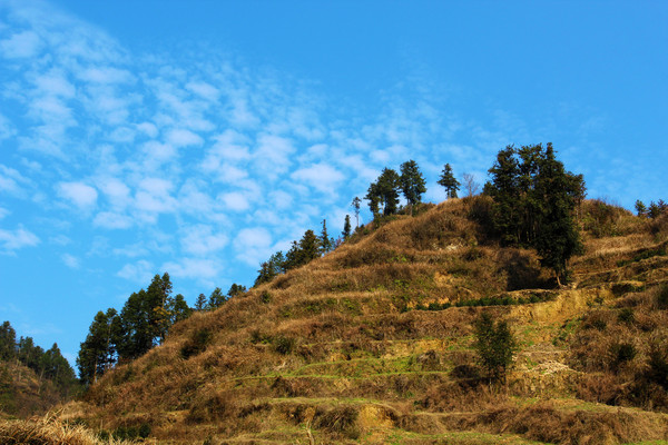 �����µ��������