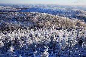 �ֺ�ѩԭ��ڡ�羰