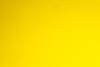 ƤӰ�ʼ����̶�