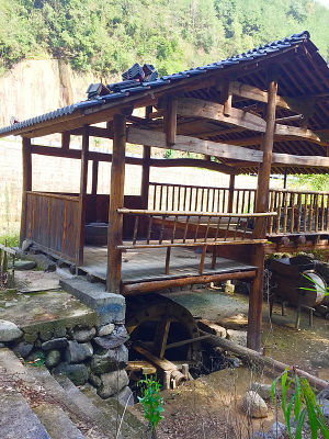 ��ľ����