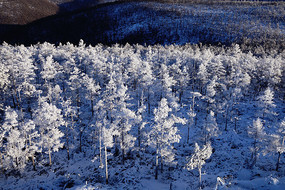 ɽ��������ڡ 