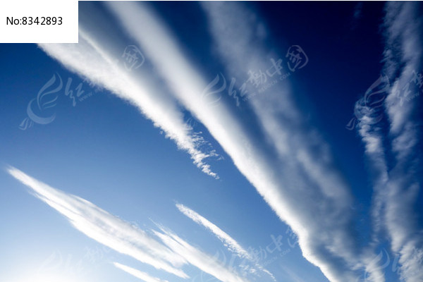 ��հ���ͼƬ